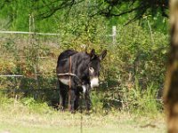 2016-09-23 circuit de D Huison 0036